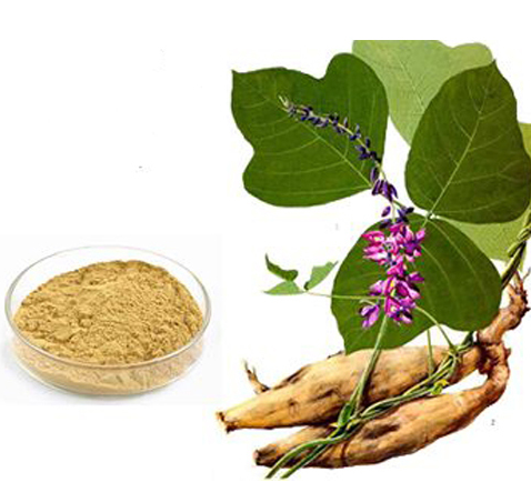 puerarin powder.png
